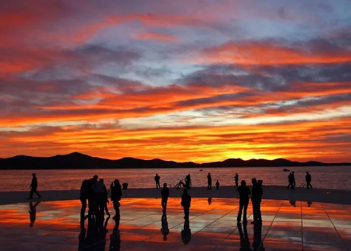 Deluxe Neli ザダル