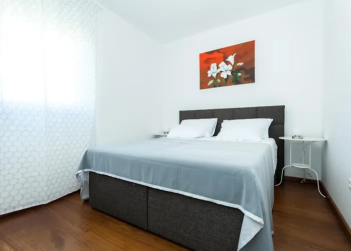 Deluxe Neli ザダル